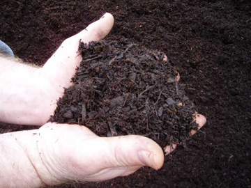 Photo: Mr. Yard Original Triple Processed Bark Mulch