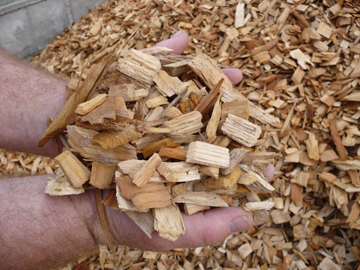 Photo: Wood Chips