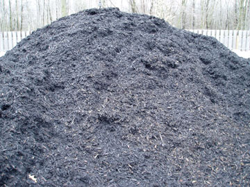 Photo: Timber Ridge Black Wood Mulch Pile