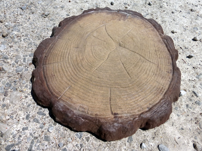 Photo: Old Castle Stepping Stone Log Round